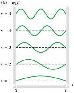 Wave functions for different quantum numbers