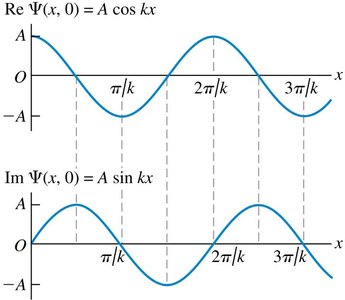Real and imaginary parts of the wave function