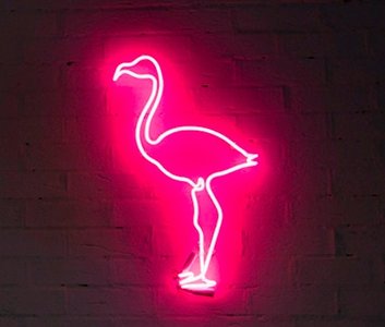 Neon sign as an example of plasma