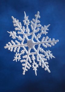 Snowflake as an example of solidification