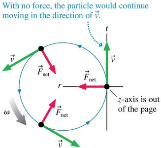 Centripetal force in circular motion
