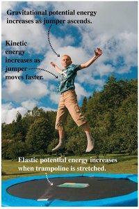 Trampoline jumper with gravitational and elastic potential energy