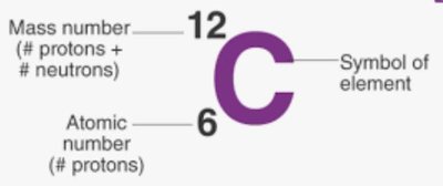 Diagram of a carbon atom with atomic and mass numbers