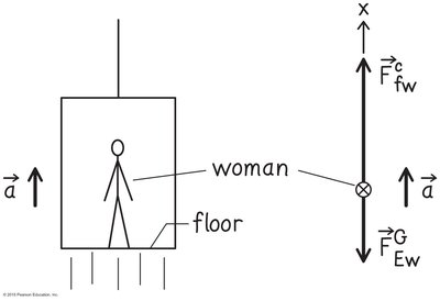 Free-body diagram for a woman in a lift accelerating upward