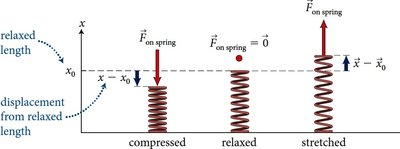 Hooke's law: force vs. displacement for a spring