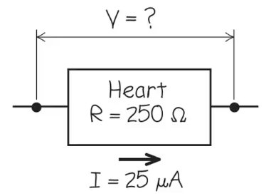 Heart circuit diagram for electrical hazard