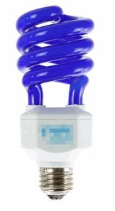 Bulb converting energy