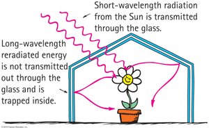 Diagram of greenhouse effect in a greenhouse