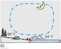 Nighttime convection cycle with temperature differences