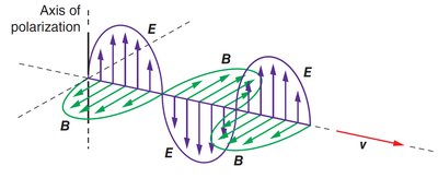 Polarized and unpolarized light