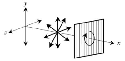 Polarizer and analyzer