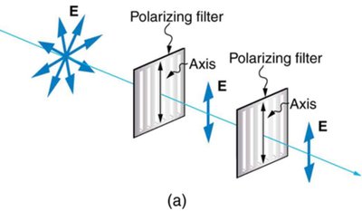 Malus's law - parallel polarizers