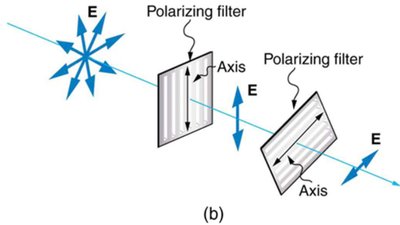 Malus's law - angled polarizers