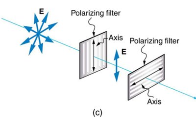 Malus's law - perpendicular polarizers