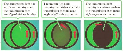 Malus's law - varying angles