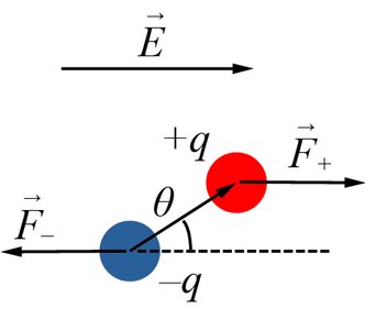 Forces and torque on a dipole in a uniform electric field