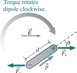 Torque on an electric dipole in an external electric field