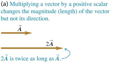 Multiplying a vector by a positive scalar