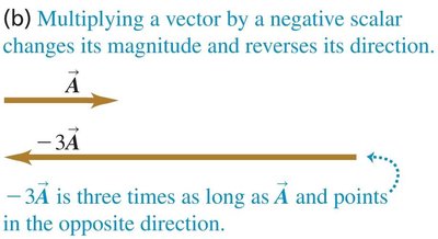 Multiplying a vector by a negative scalar