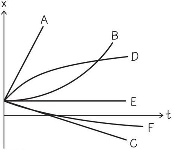 Position-time graph for multiple children