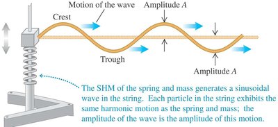 Sinusoidal wave generated by SHM of a spring and mass