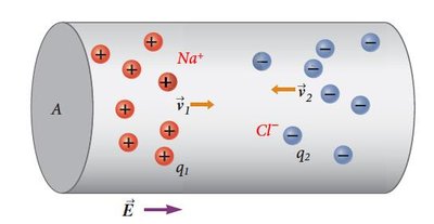 Na+ and Cl- ions drifting in a solution