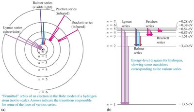 Bohr model orbits and energy level diagram for hydrogen