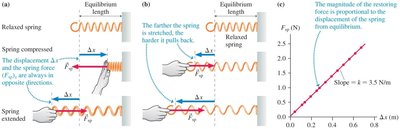 Spring force and displacement graph