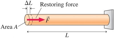 Rod with area, length, and restoring force