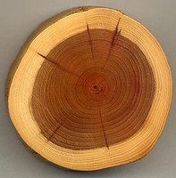 Wood as an insulator