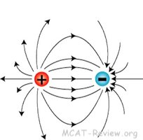Field lines between opposite charges (attraction)