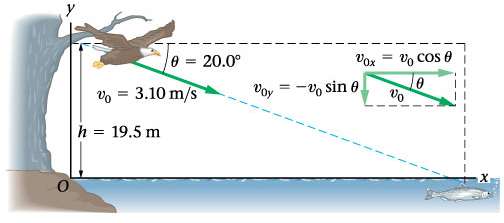 Eagle descending with velocity components