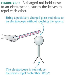 Polarization by a charged rod