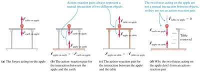 Athlete and basketball player illustrating action-reaction forces