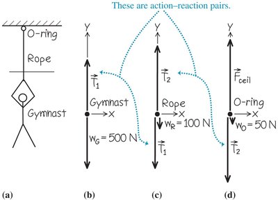 Free-body diagram for equilibrium with forces in y-direction