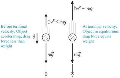 Spring force and displacement according to Hooke's Law