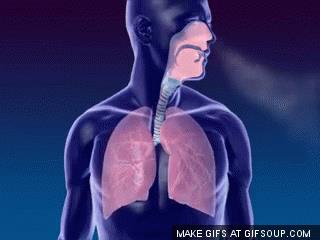 Lungs breathing