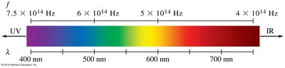Visible spectrum with wavelength and frequency scale