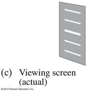 Actual observed interference pattern (fringes)