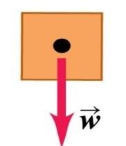 Gravitational force (weight) on a block