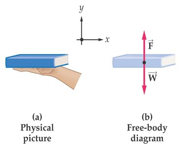 Free body diagram of a book