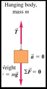 Hanging body: tension and weight