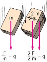Two masses falling with same acceleration
