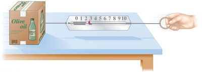 Measuring force with a spring scale