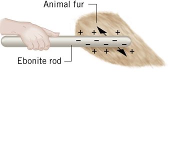 Transfer of charge between ebonite rod and animal fur