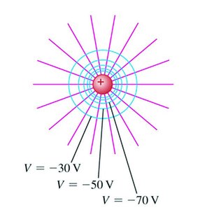 Equipotential surfaces and electric field lines for a negative point charge
