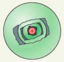 Equipotential surfaces around a point charge
