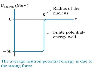 Neutron potential energy well