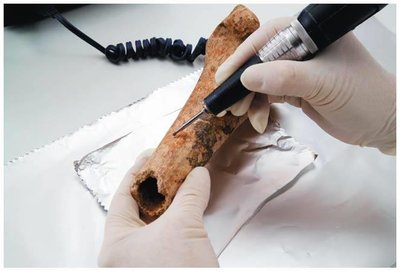 Carbon dating of ancient bone