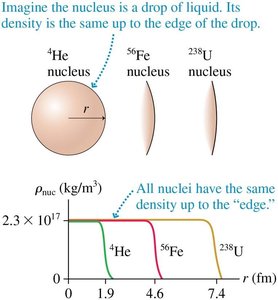 Density profiles of different nuclei, illustrating the liquid-drop model